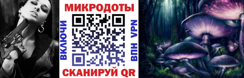 Псилоцибиновые грибы Psilocybine cubensis Красавино